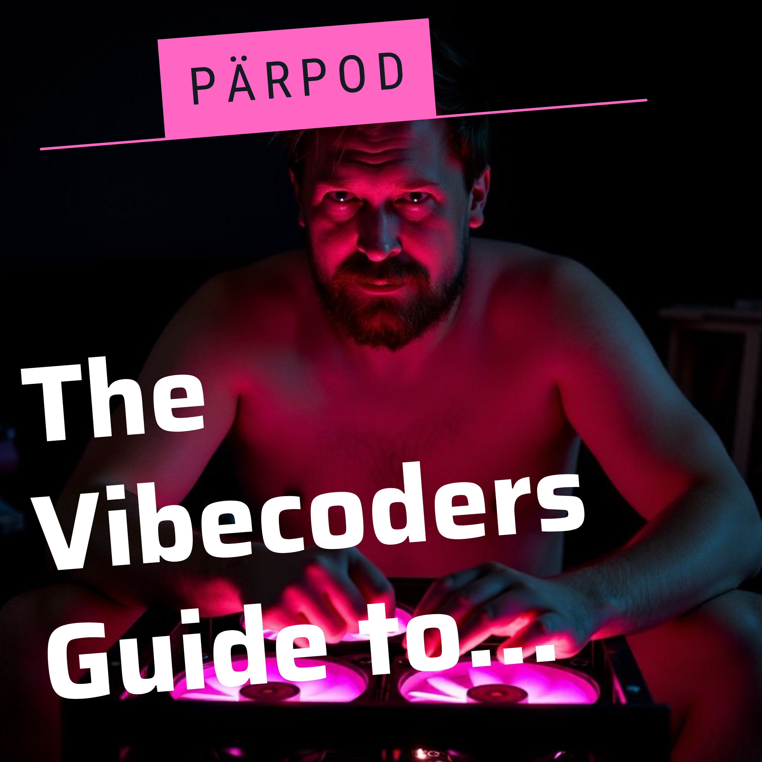 The Vibecoder's Guide to